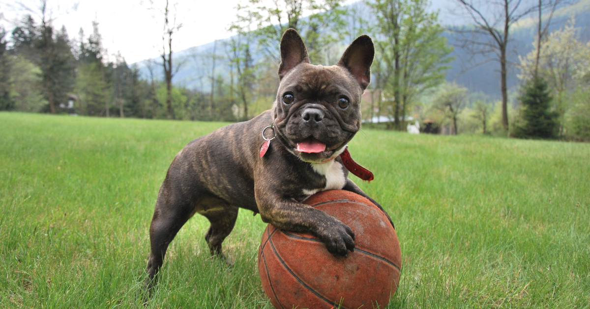 ここからまた一歩、バスケが教えてくれたこと