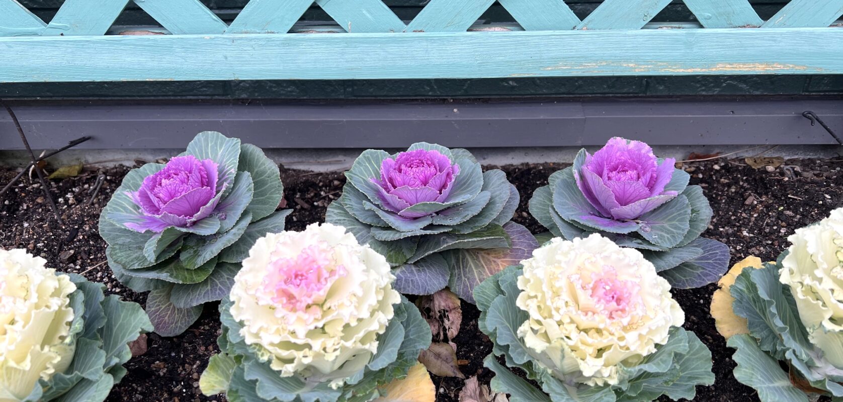 本日より冬季休暇