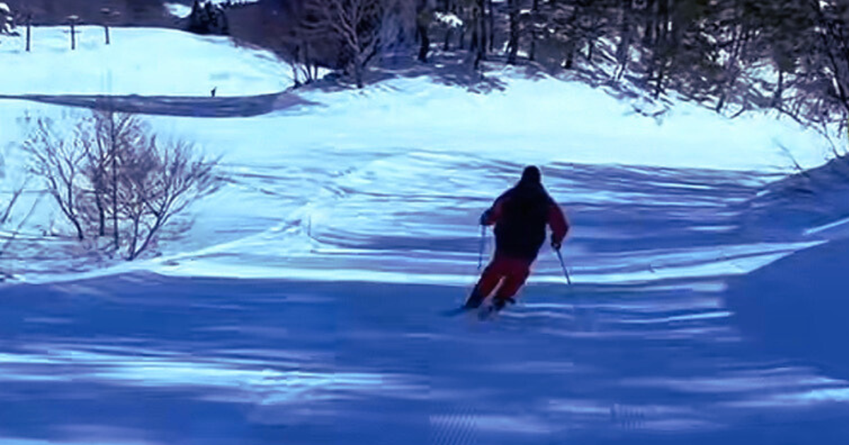 「生涯現役」を目指して。仕事も遊びも全力投球！