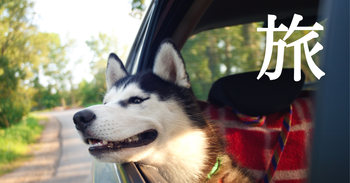 犬と行く日帰り淡路旅